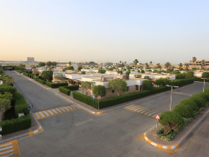 _K6A3443 6 (1).jpg (1)