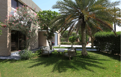 Rectangle 181.png (20)