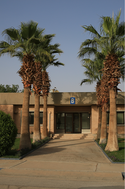 Rectangle 180.png (15)