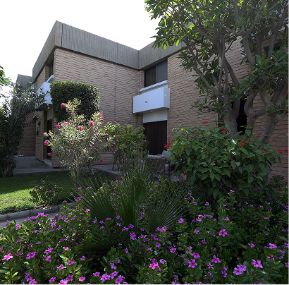 Rectangle 173.png (22)