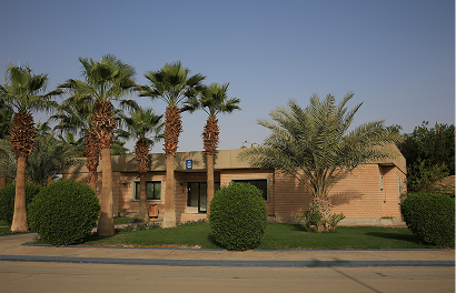 Rectangle 181.png (11)