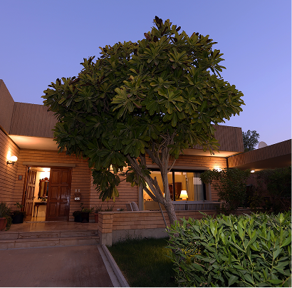 Rectangle 184.png (11)