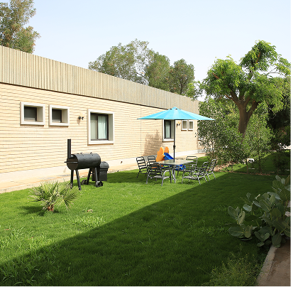 Rectangle 183.png (12)