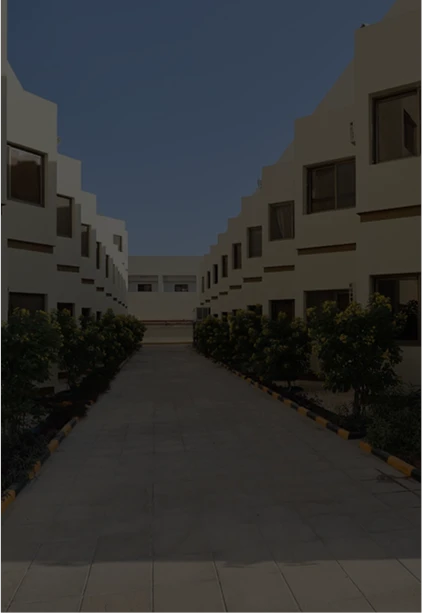 pmo-4_(1).webp (4)